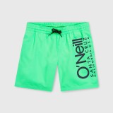 O'NEILL O'RIGINALS CALI 14 SWIM SHORTS 4800083-16043 Veraman Image 3