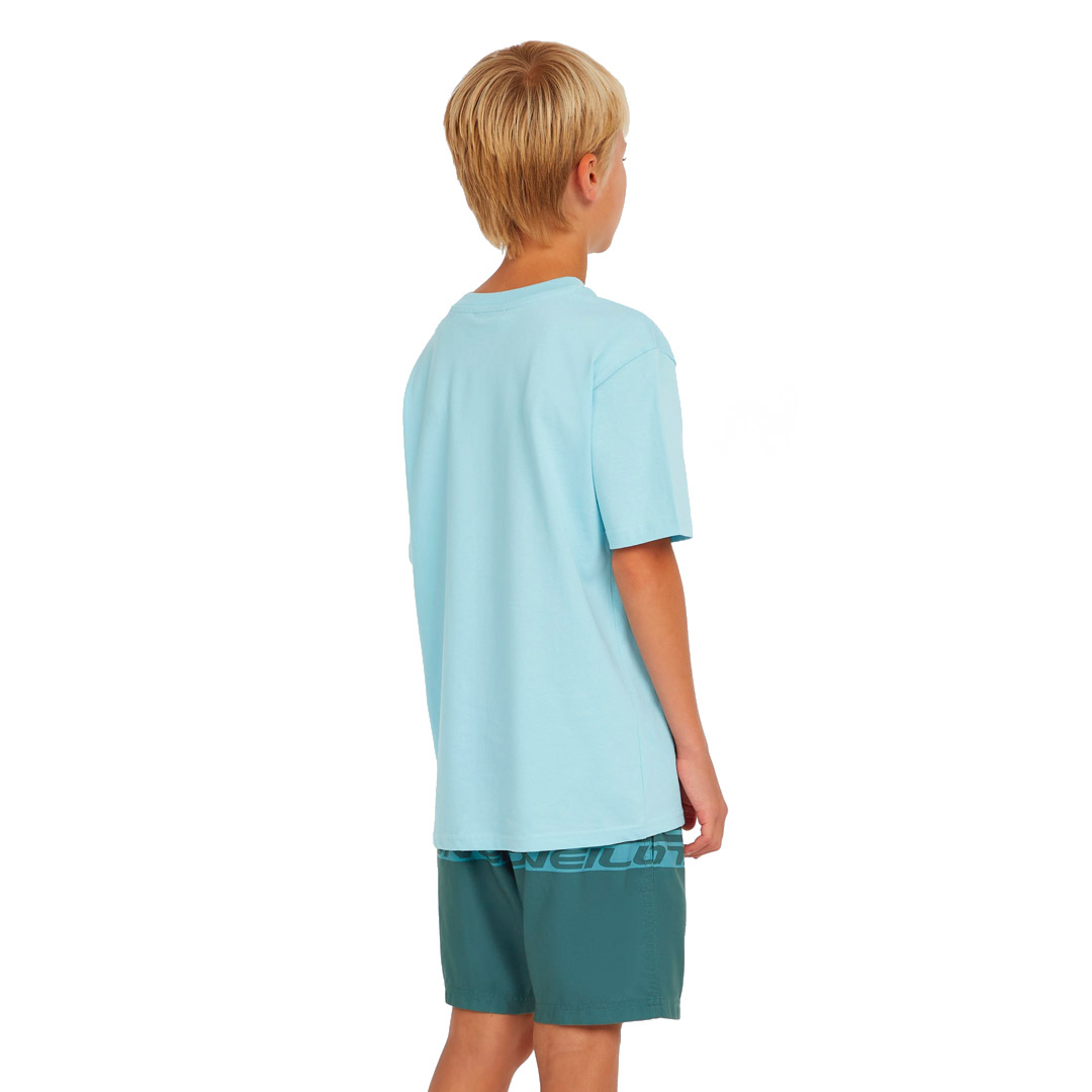 O'NEILL CALI STRIPE 14 SWIMSHORTS 4800090-35171 Μπλε