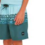 O'NEILL CALI STRIPE 14 SWIMSHORTS 4800090-35171 Μπλε Εικόνα 1