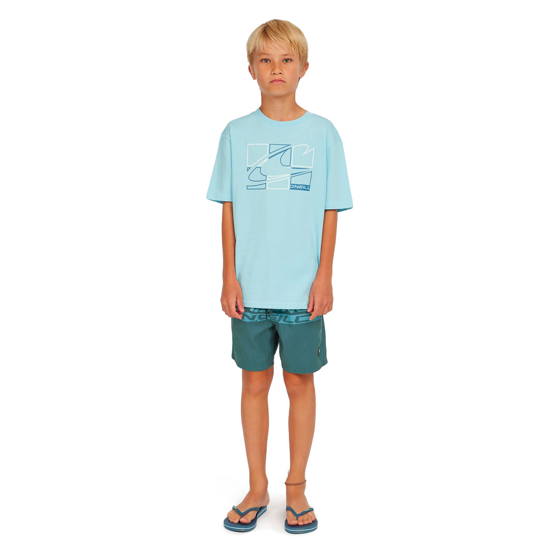 O'NEILL CALI STRIPE 14 SWIMSHORTS 4800090-35171 Μπλε