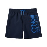 O'NEILL CALI GRADIENT 14'' SWIM SHORTS 4800034-15011 Blue Image 