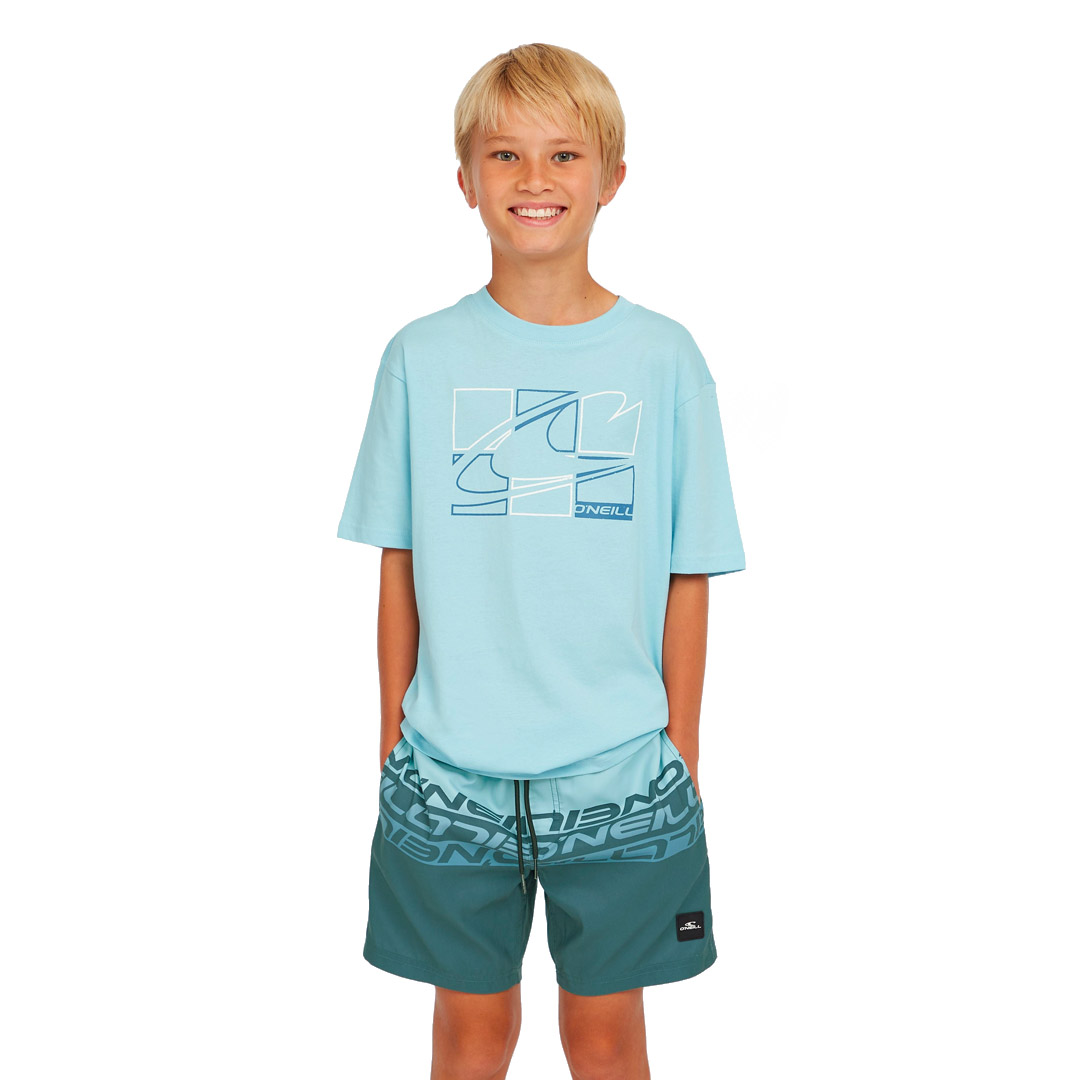 O'NEILL CALI STRIPE 14 SWIMSHORTS 4800090-35171 Μπλε