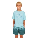 O'NEILL CALI STRIPE 14 SWIMSHORTS 4800090-35171 Μπλε Εικόνα 