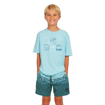 O'NEILL CALI STRIPE 14 SWIMSHORTS 4800090-35171 Μπλε