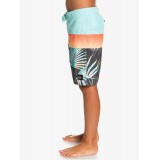 QUIKSILVER EVERYDAY PANEL YTH 17 EQBBS03617-KTA6 Πολύχρωμο Εικόνα 1