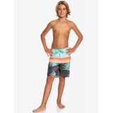 QUIKSILVER EVERYDAY PANEL YTH 17 EQBBS03617-KTA6 Πολύχρωμο Εικόνα 2