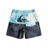 QUIKSILVER BUTT LOGO VOLLEY YOUTH 14 EQBJV03452-KVJ6 Colorful Image 0