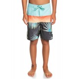 QUIKSILVER EVERYDAY PANEL YTH 17 EQBBS03617-KTA6 Πολύχρωμο Εικόνα 