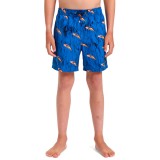 QUIKSILVER NEXT GEN VOLLEY YTH 14 EQBJV03514-BSW4 Blue Image 