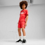 PUMA ESS 2 COLOR NO. 1 LOGO SHORTS TR B 685826-11 Red Image 1