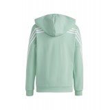 adidas Sportswear U FI 3S FZ HD HR6319 Οινοπνευματί Εικόνα 0