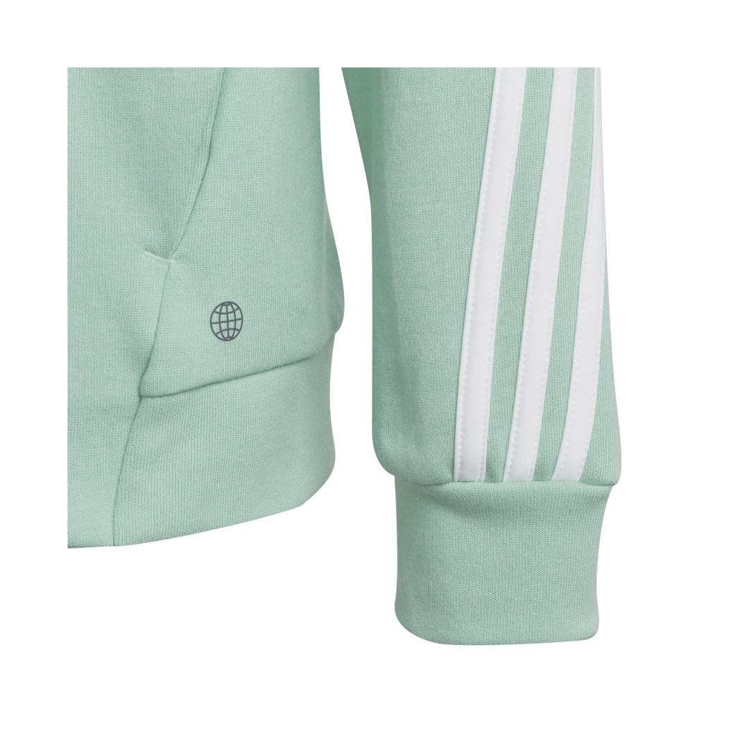 adidas Sportswear U FI 3S FZ HD HR6319 Οινοπνευματί
