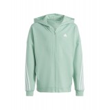 adidas Sportswear U FI 3S FZ HD HR6319 Οινοπνευματί Εικόνα 