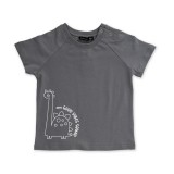 BODYTALK BEBE BOYS RAGLAN TSHIRT & SHORTS 1261-735399-00509 Colorful Image 0