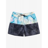 QUIKSILVER BUTT LOGO VOLLEY BOY 12 EQKJV03241-KVJ6 Πολύχρωμο Εικόνα 5