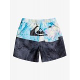 QUIKSILVER BUTT LOGO VOLLEY BOY 12 EQKJV03241-KVJ6 Πολύχρωμο Εικόνα 6