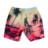 QUIKSILVER EVERYDAY PARADISE VL BOY 13 EQKJV03235-GCZ6 Πολύχρωμο Εικόνα 0