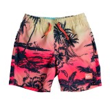QUIKSILVER EVERYDAY PARADISE VL BOY 13 EQKJV03235-GCZ6 Πολύχρωμο Εικόνα 