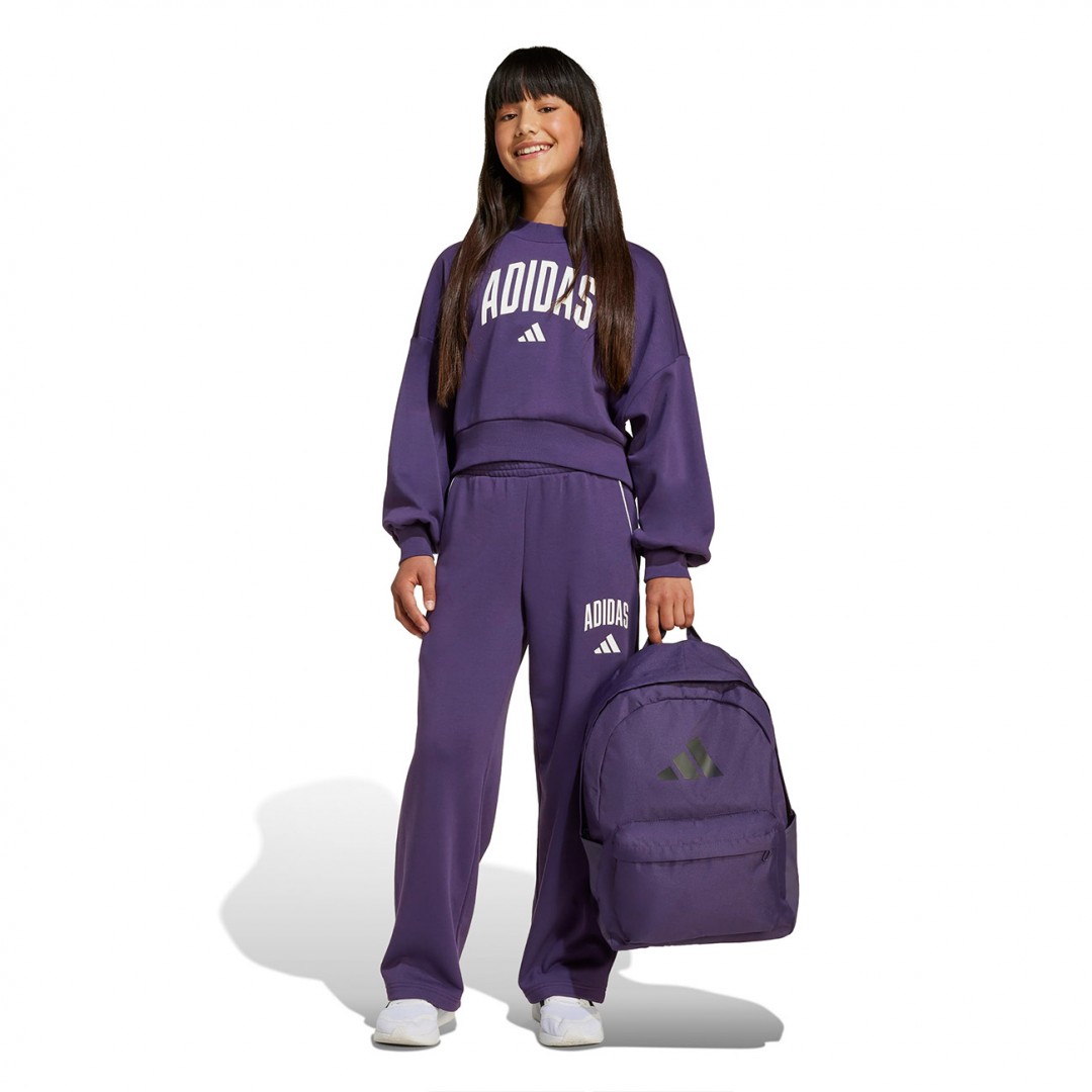 adidas sportswear JG CLGT FT SWT JV7379 Purple