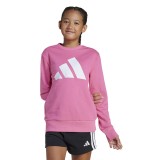 adidas sportswear JG BL FT SWT JE1390 Pink Image 