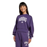 adidas sportswear JG CLGT FT SWT JV7379 Purple Image 