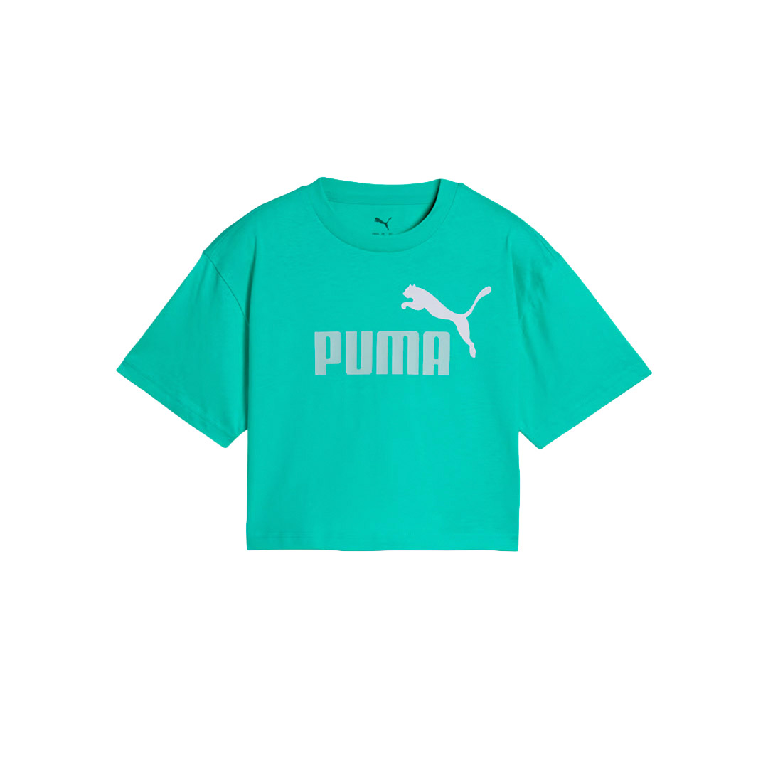 PUMA ESS 2 COLOR NO. 1 LOGO  SHORT LENGTH TEE G 686071-59 Alcohol
