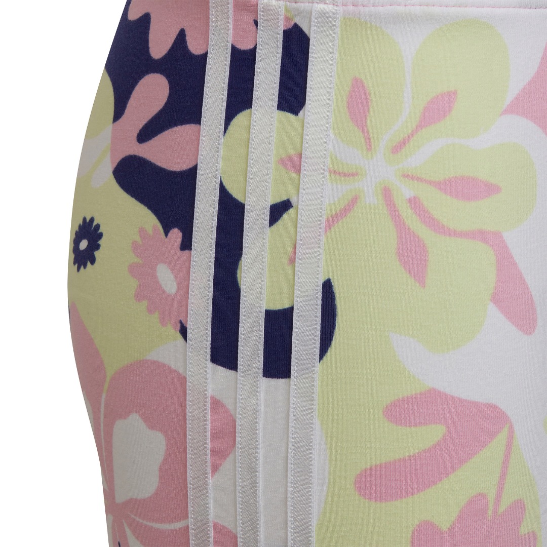 adidas Originals CYCLING SHORTS HF2110 Πολύχρωμο