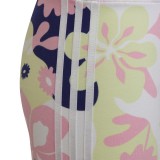 adidas Originals CYCLING SHORTS HF2110 Πολύχρωμο Εικόνα 3