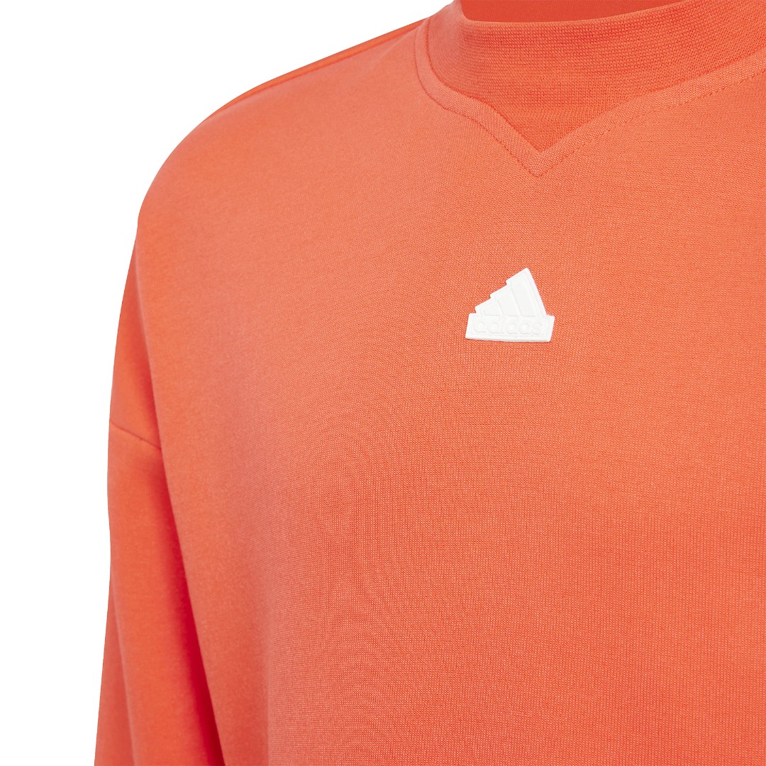 adidas sportswear G FI LOGO TS IP2425 Πολύχρωμο