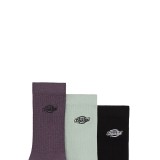 DICKIES SUMMERDALE 3PK DK0A88QJL79-L79 Colorful Image 1