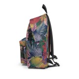 EASTPAK PADDED PAK'R AUTHENTIC ORIGINAL EK000620-B0N Πολύχρωμο Εικόνα 2
