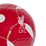 adidas Performance LFC CLB HOME JY6164 Πολύχρωμο Εικόνα 2