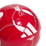 adidas Performance LFC MINI HOME JY6165 Πολύχρωμο Εικόνα 1