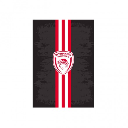 NAKAS GROUP NOTEBOOK 40P OLYMPIACOS BASKET 4 HP.BTS.NOT.020 Ο-C