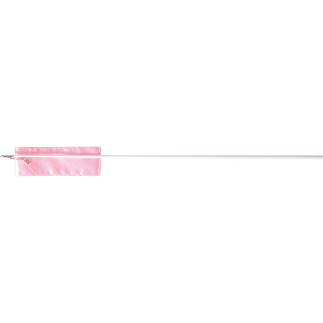 AMILA ΚΟΡΔΕΛΑ ΡΥΘ.ΓΥΜΝ. 5m - ΙΣΤΟΣ 56cm - ΡOZ 47995-28 Ροζ