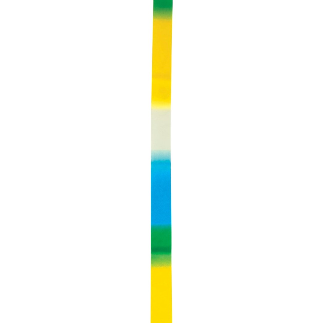 AMILA ΚΟΡΔΕΛΑ ΡΥΘ.ΓΥΜΝ. 6m - ΙΣΤΟΣ 56cm - ΑΣΠΡΟ/ΚΙΤΡΙΝΟ/ΜΠΛΕ 98903-50 Πολύχρωμο